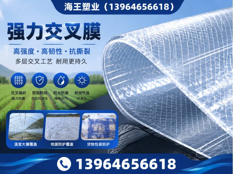 青州市聚酯胎展示图